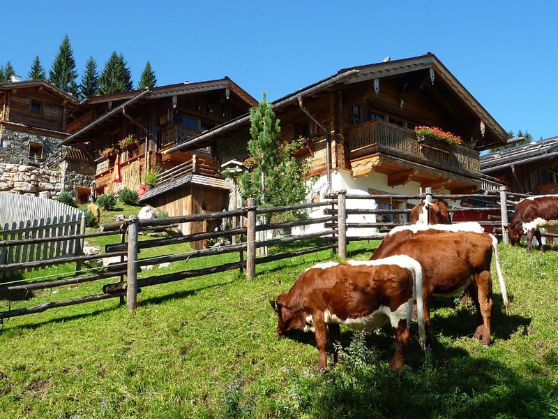 22433919-Ferienhaus-8-Flachau-800x600-1