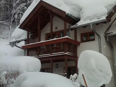 Ferienhaus Waldsicht - Winter