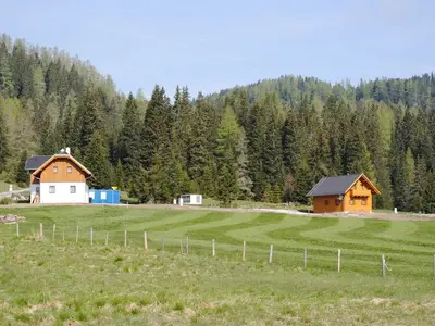 Ferienhaus für 8 Personen (86 m²) in Flattnitz 4/10