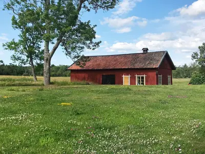 Outdoor