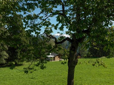 Holzerheim freistehend