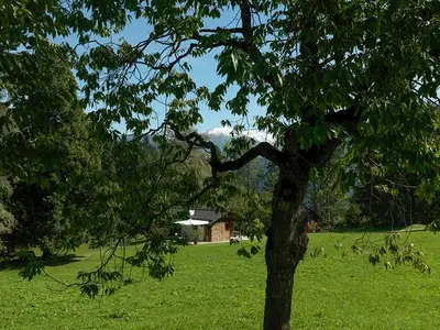 Ferienhaus für 4 Personen in Flims 2/9