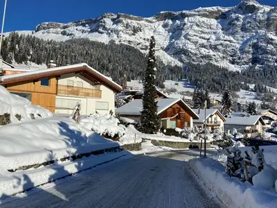 Ferienhaus für 12 Personen in Flims 1/10