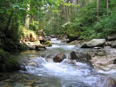 Ferienhaus für 8 Personen (120 m²) in Forstau 6/10