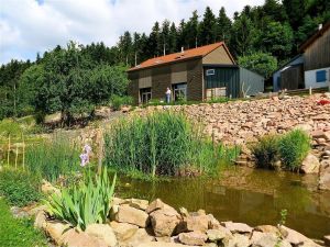 Ferienhaus für 10 Personen (170 m²) in Fraize