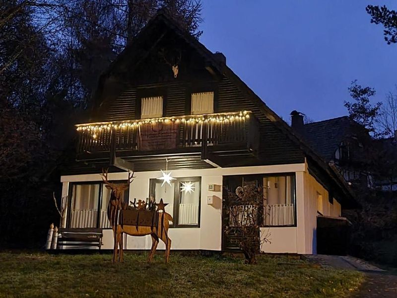 23522492-Ferienhaus-4-Frankenau-800x600-2