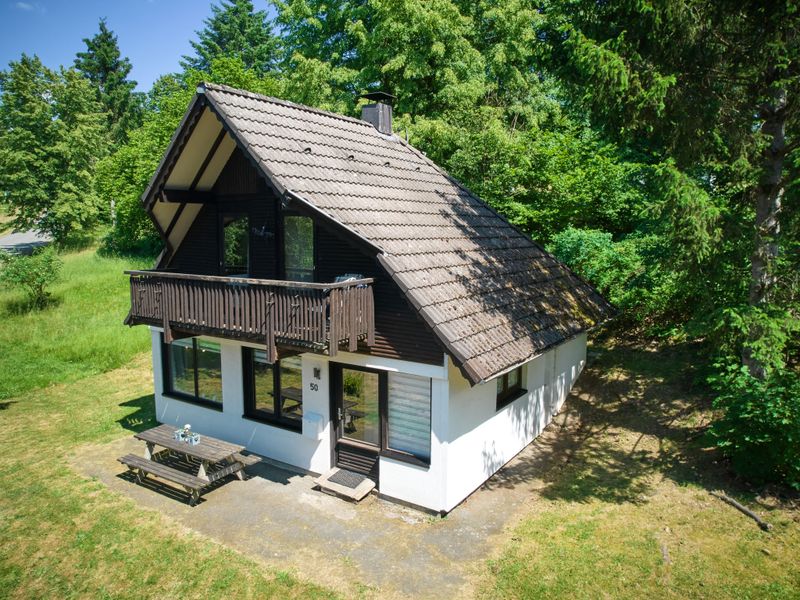 23853536-Ferienhaus-6-Frankenau-800x600-0