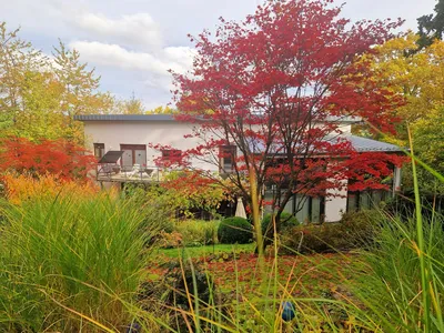Ferienhaus für 10 Personen (300 m²) in Frankenberg (Eder) 1/10