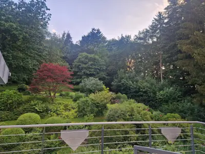 Ferienhaus für 10 Personen (300 m²) in Frankenberg (Eder) 6/10