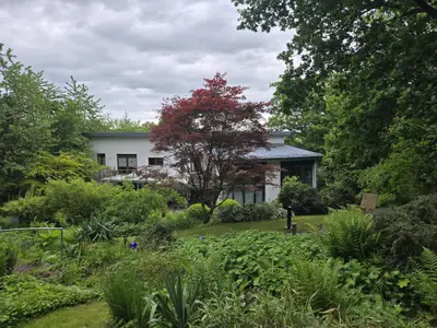 Ferienhaus für 10 Personen (300 m²) in Frankenberg (Eder) 7/10