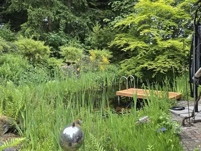 Ferienhaus für 10 Personen (300 m²) in Frankenberg (Eder) 9/10