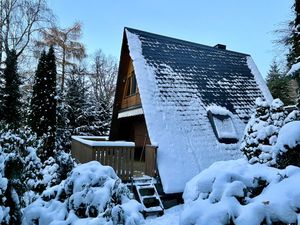 Ferienhaus für 3 Personen (60 m²) in Frankenhain (Thüringen)