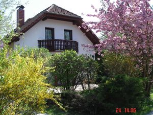 17145104-Ferienhaus-7-Frankenroda-300x225-2