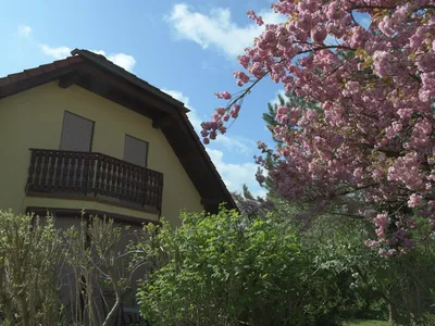 Ferienhaus für 7 Personen (125 m²) in Frankenroda 1/10