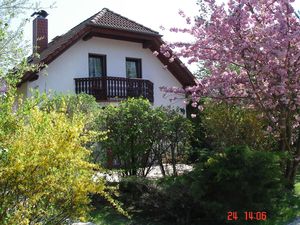 22276189-Ferienhaus-7-Frankenroda-300x225-2