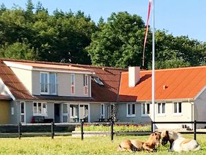 Ferienhaus für 4 Personen (65 m²) in Frederikshavn