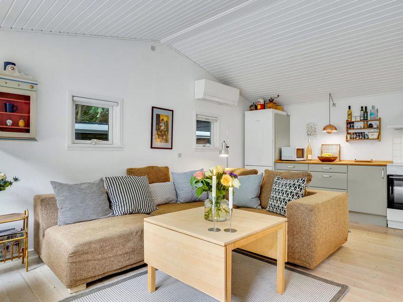 23756112-Ferienhaus-4-Frederiksværk-800x600-2