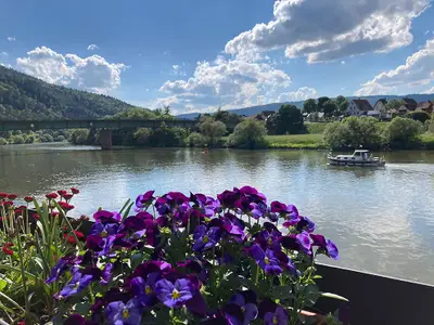 Freudenberg am Main - Blick auf den Main