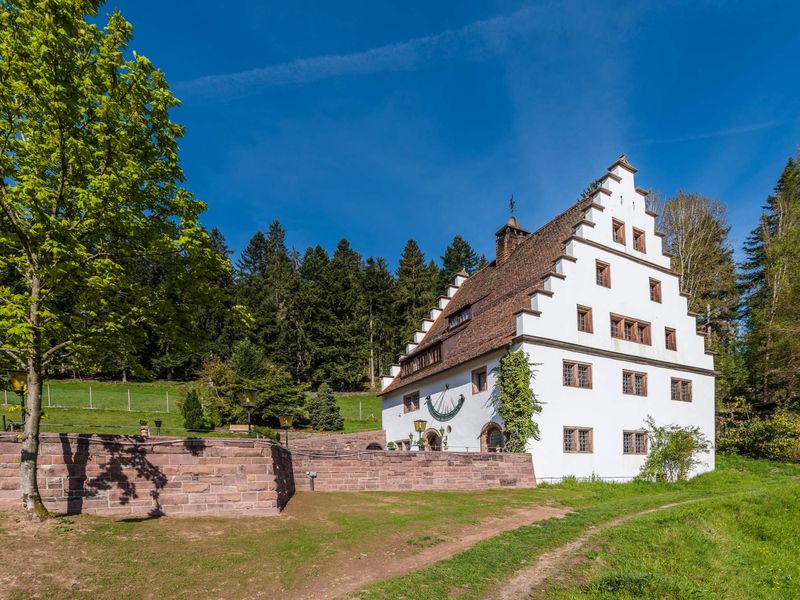 19399120-Ferienhaus-22-Freudenstadt-800x600-0