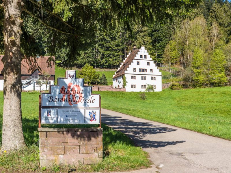 19399120-Ferienhaus-22-Freudenstadt-800x600-2