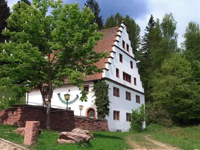 Ferienhaus für 11 Personen (220 m²) in Freudenstadt 1/10