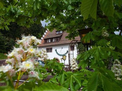 Ferienhaus für 11 Personen (220 m²) in Freudenstadt 2/10