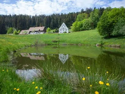 Ferienhaus für 11 Personen (220 m²) in Freudenstadt 7/10