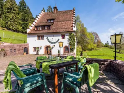 Ferienhaus für 11 Personen (220 m²) in Freudenstadt 8/10