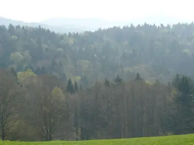 Blick aus dem Fenster des Ferienhäuschens