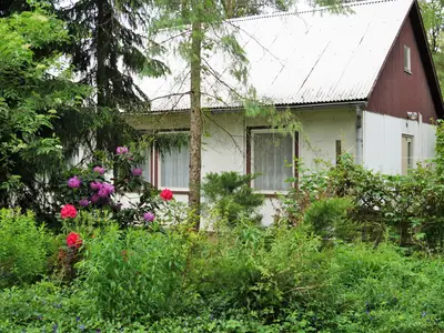 Ferienhaus für 4 Personen (34 m²) in Friedland (Brandenburg) 1/10
