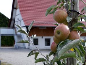 Ferienhaus für 4 Personen (80 m²) in Friedrichshafen