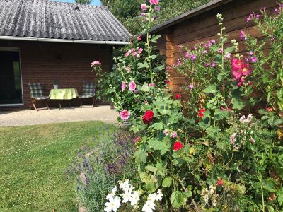 Garten. Blick zur Terrasse