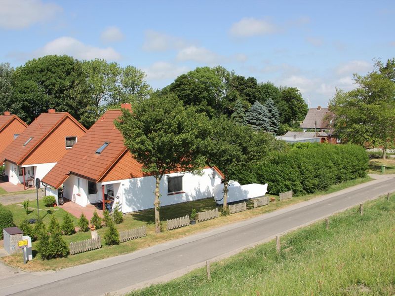 22936341-Ferienhaus-8-Friedrichskoog-800x600-0