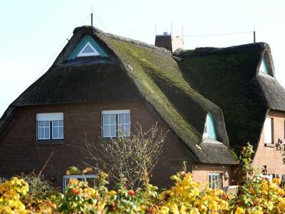 Ferienhaus für 5 Personen (80 m²) in Friedrichskoog 2/10