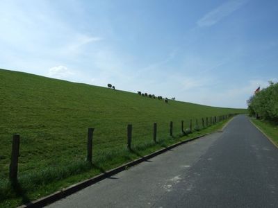 Ferienhaus für 5 Personen (77 m²) in Friedrichskoog 6/10