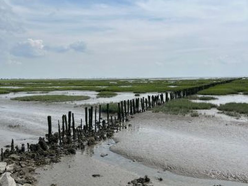 24051299-Ferienhaus-6-Friedrichskoog-800x600-1