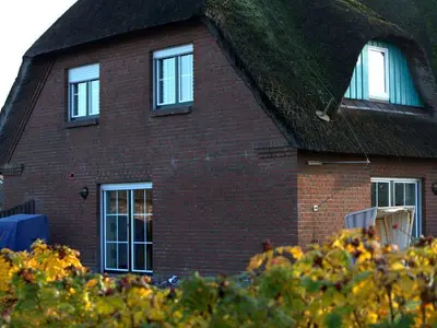 Ferienhaus für 5 Personen (80 m²) in Friedrichskoog 3/10