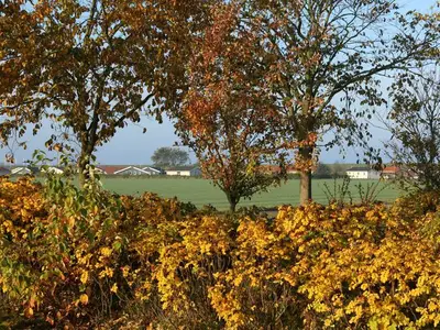 Ferienhaus für 5 Personen (80 m²) in Friedrichskoog 5/10