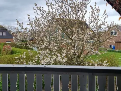 Ferienhaus für 5 Personen (70 m²) in Friedrichskoog 3/10