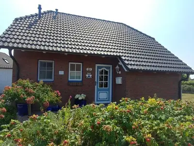 Ferienhaus für 5 Personen (75 m²) in Friedrichskoog 3/10