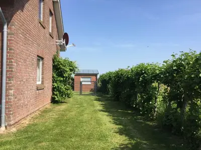 Ferienhaus für 4 Personen (65 m²) in Friedrichskoog 6/10
