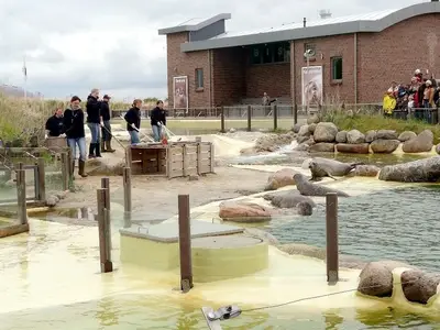 Ferienhaus für 8 Personen (84 m²) in Friedrichskoog 2/10