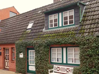 au_enansicht_efeunest_aktuell