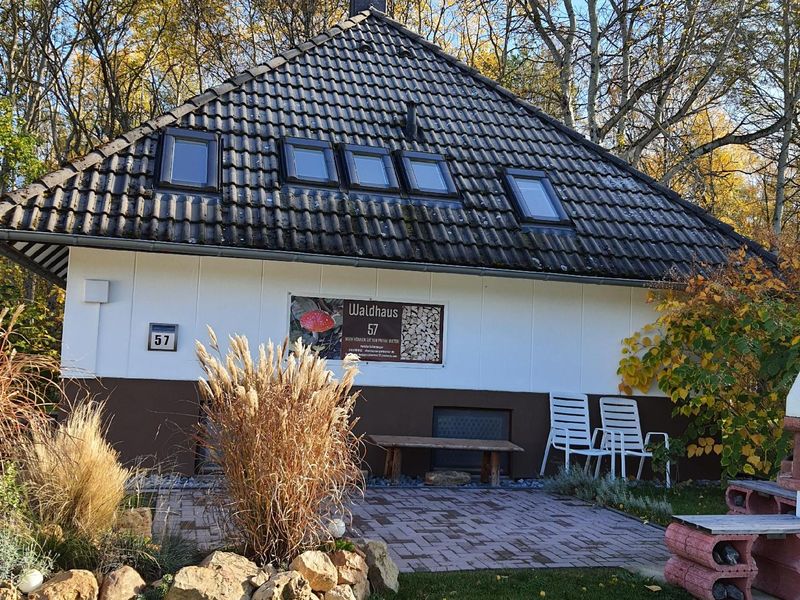 22155497-Ferienhaus-6-Frielendorf-800x600-1