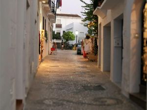 22434897-Ferienhaus-5-Frigiliana-300x225-5