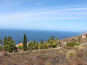 19248990-Ferienhaus-5-Fuencaliente de La Palma-300x225-3