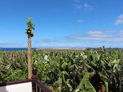 Ferienhaus für 5 Personen (88 m²) in Fuencaliente de La Palma 6/10