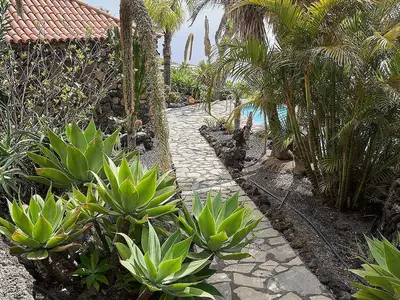 Ferienhaus für 2 Personen (75 m²) in Las Indias 9/10