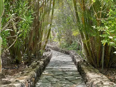 Ferienhaus für 2 Personen (75 m²) in Las Indias 8/10