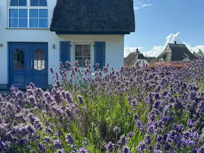 Gartenblick
